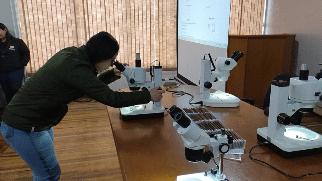 Encontro reuniu sete municípios para avaliar as armadilhas instaladas em todos os bairros; Vigilância Sanitária destaca redução dos casos de dengue em 2025