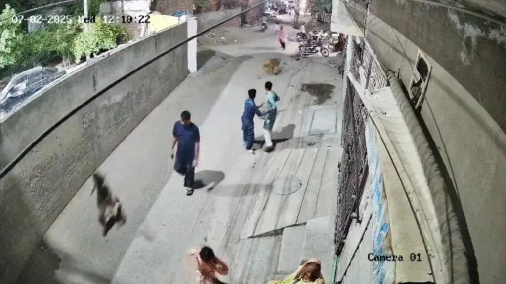 Leão criado ilegalmente como animal de estimação ataca mulher e duas crianças em Lahore, no Paquistão, e leva autoridades a intensificar fiscalizações.