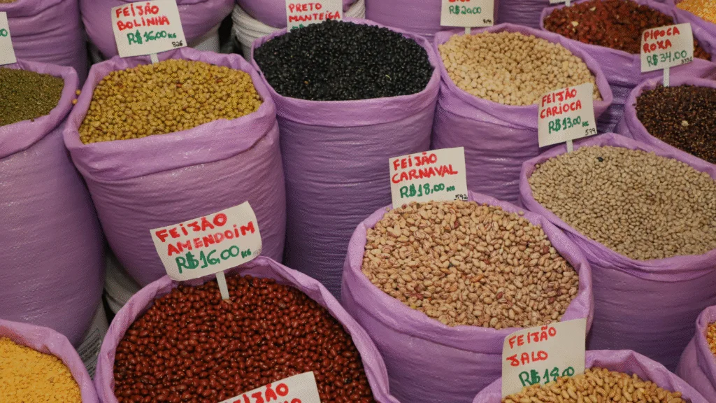 O Paraná encerrou a colheita da segunda safra de feijão com uma produção de 526,6 mil toneladas. Ao somar esse volume à colheita da primeira safra, que alcançou 338 mil toneladas, o estado atingiu um total de aproximadamente 865 mil toneladas em 2025. 