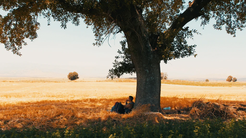 campo