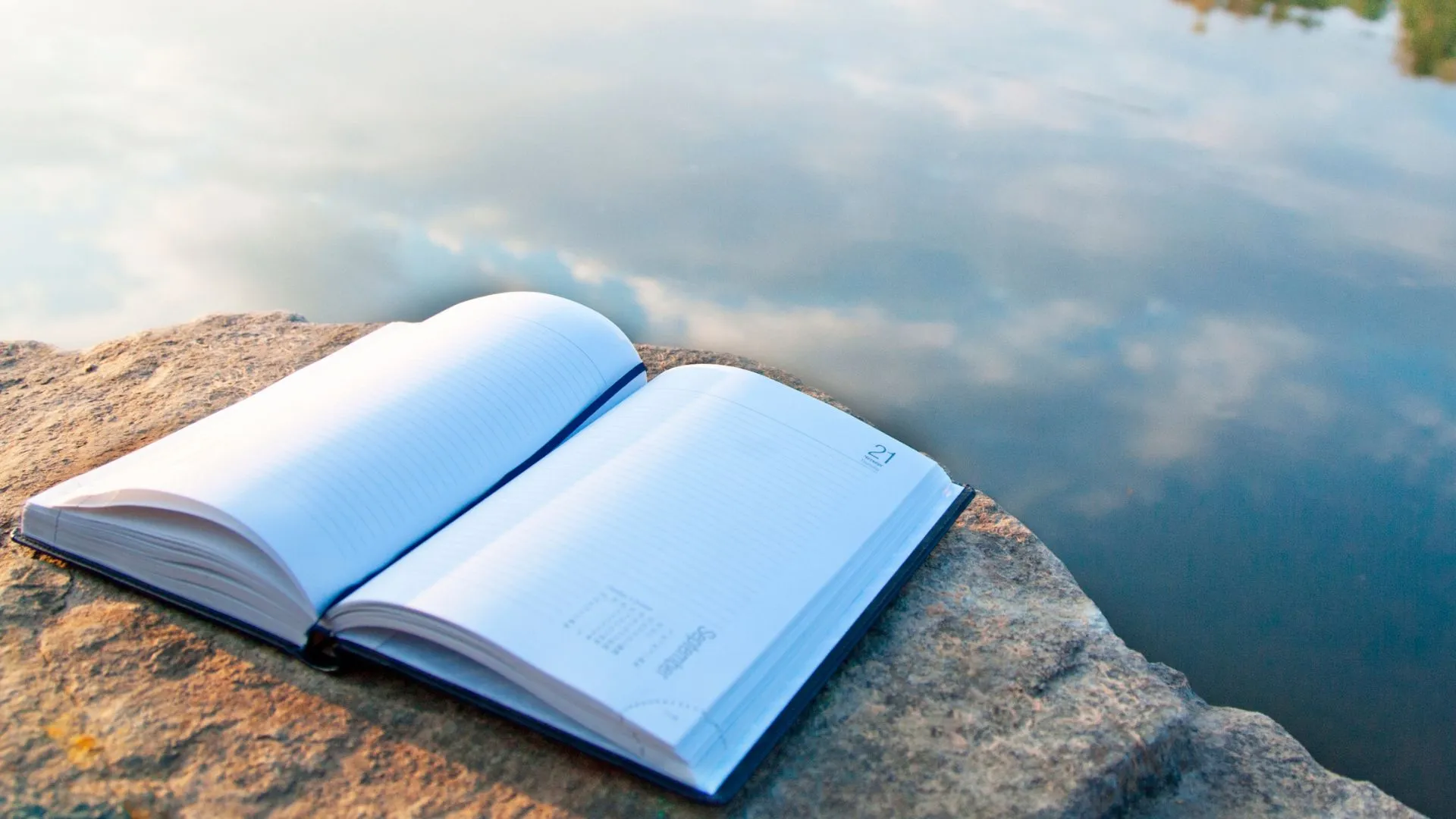livros que revelam um Brasil que você nunca viu na escola