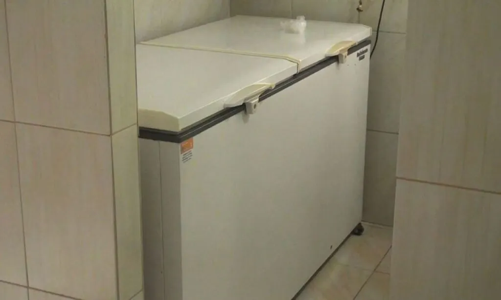 A justiça determinou que o júri do caso da mulher que matou o marido e escondeu o corpo em um freezer deve acontecer em 28 de agosto Claudia Tavares Hoeckler 