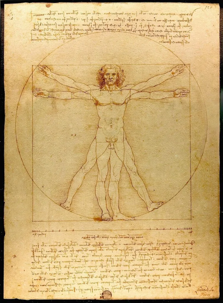 leonardo 2