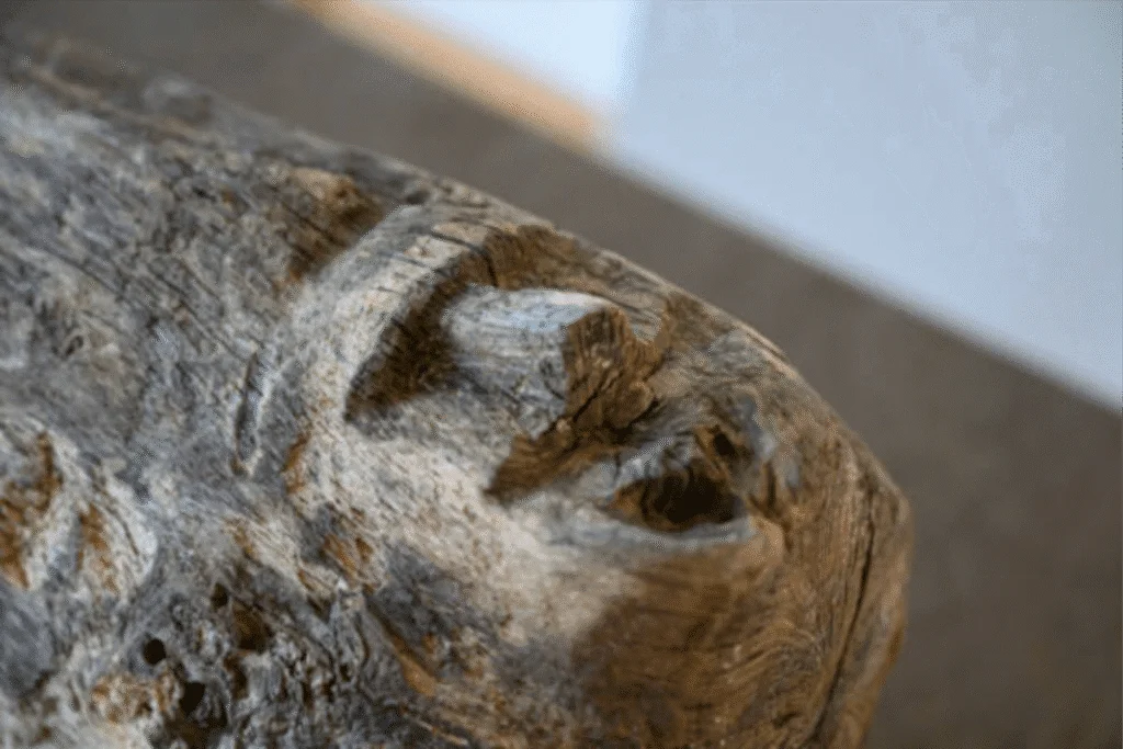 Rosto esculpido de 1.000 anos é encontrado curiosamente no fundo de um lago 11 rosto