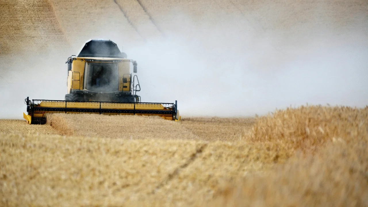 Chuvas acima da média em setembro fortalecem a produção de trigo no Paraná, impulsionam colheita e indicam safra de inverno promissora.