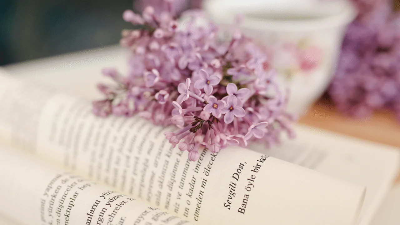 Os 10 melhores livros evangélicos de todos os tempos 3 Os 10 melhores livros evangélicos de todos os tempos