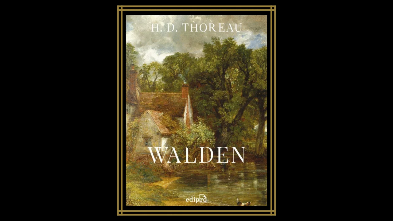 7 livros sobre solidão e solitude que revelam a força do silêncio interior 6 7 livros sobre solidão e solitude que revelam a força do silêncio interior