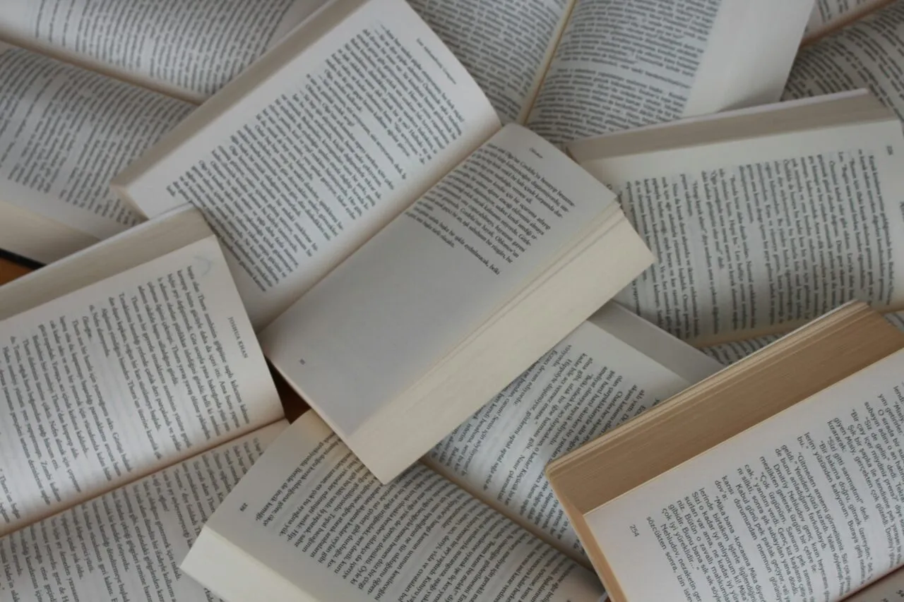 livros 4