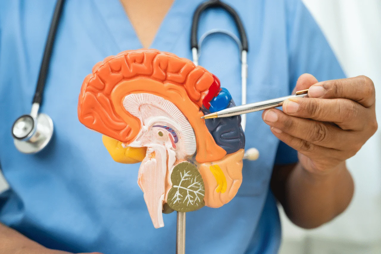 Avanços contra o Alzheimer: como proteger o cérebro desde cedo antes que seja tarde demais 4 Heloisa L 2 9