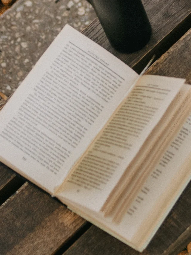 6 livros para quem está começando a ler mais
