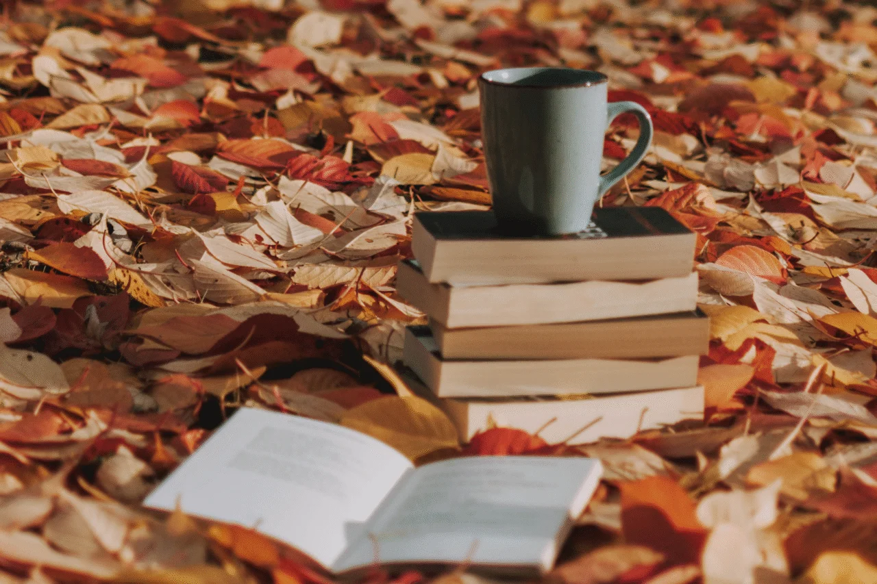 3 livros para ler em novembro