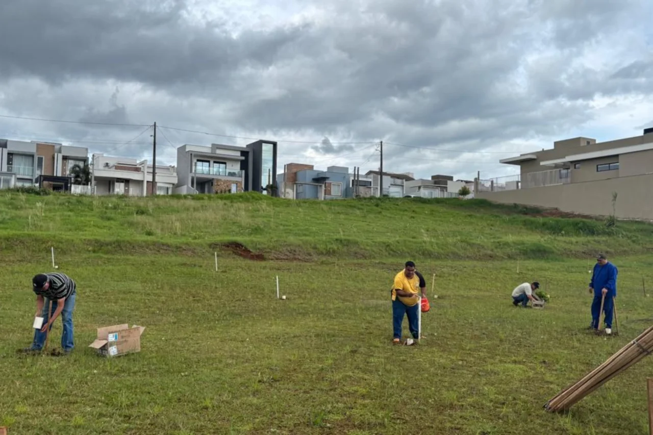 Lago das Nações recebe plantio de 200 mudas em ação da Secretaria de Obras e Urbanismo 3 Lago das Nações recebe plantio de 200 mudas em ação da Secretaria de Obras e Urbanismo