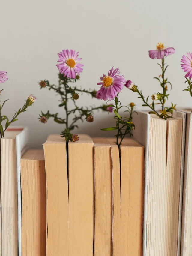 5 livros que exploram relacionamentos tóxicos