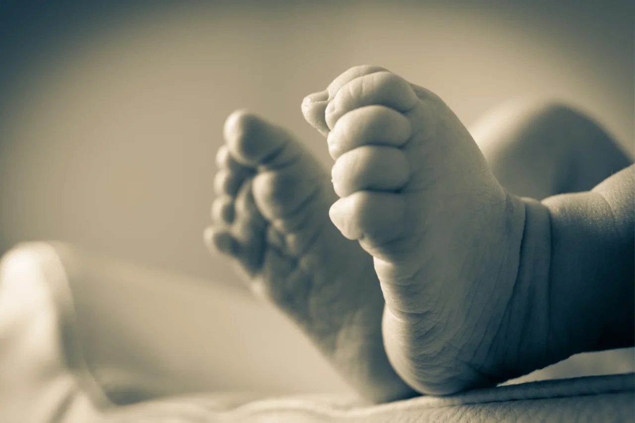 Prematuridade no Brasil: riscos, causas e cuidados essenciais para mães e bebês 5 Heloisa L 78