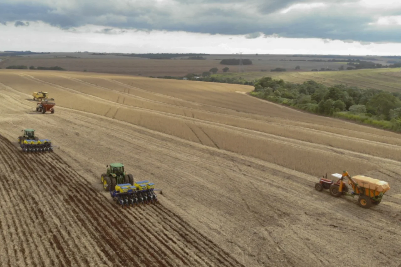 Safra 2025/2026 avança no Paraná com bom desenvolvimento das principais culturas agrícolas 10 Levantamento do Deral aponta avanço da safra 2025/2026 no Paraná, com boas condições das lavouras de soja, milho, feijão e batata e expectativa de produção elevada.