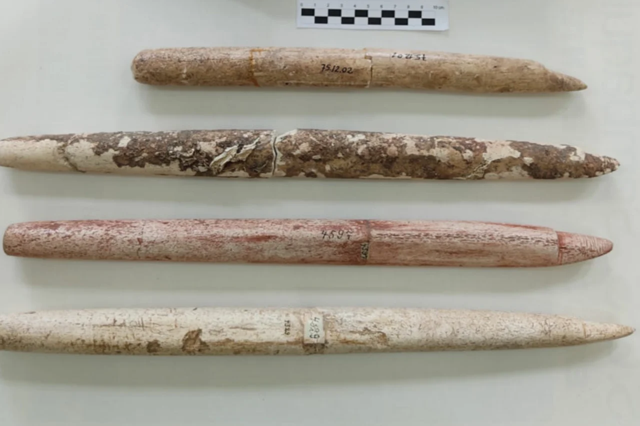 Arqueologia no sul do Brasil revela que comunidades pré-históricas caçavam baleias gigantes 1 Arqueologia no sul do Brasil revela que comunidades pré-históricas caçavam baleias gigantes
