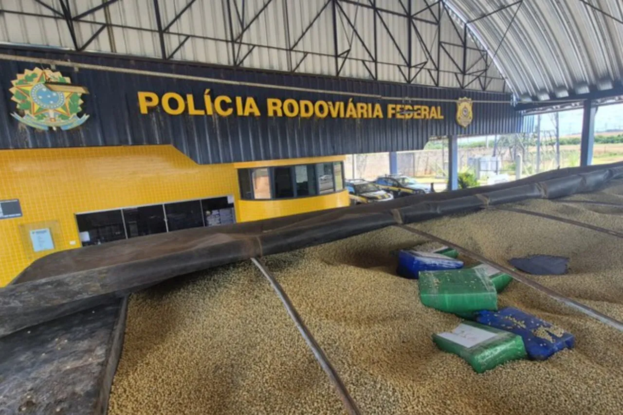 Carreta com mais de 3 toneladas de maconha em meio a carga de soja é apreendida pela PRF 3 A droga estava oculta sob os grãos em uma carreta abordada na BR-163, em Guaíra. O motorista disse que o destino da viagem seria a cidade de São Francisco do Sul