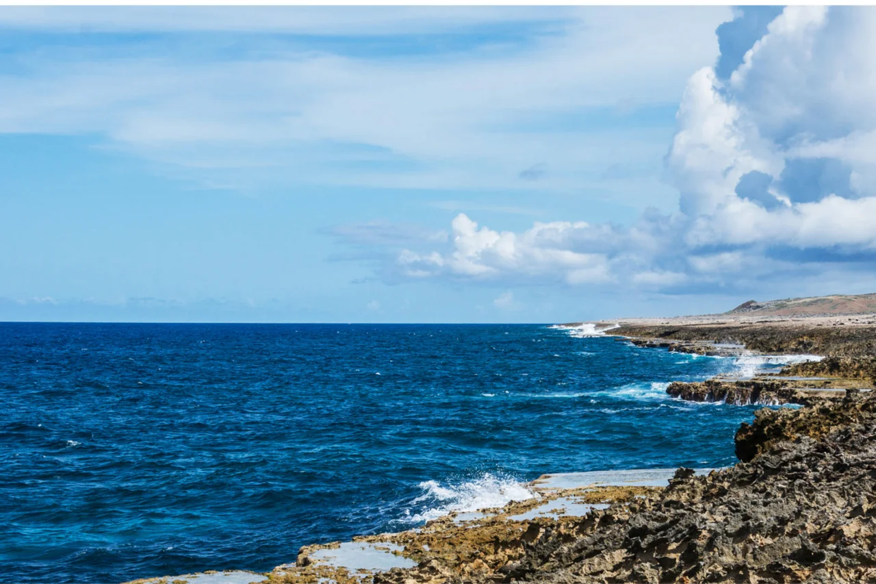 Apenas 5% dos oceanos foram explorados 15 Heloisa L 50 2