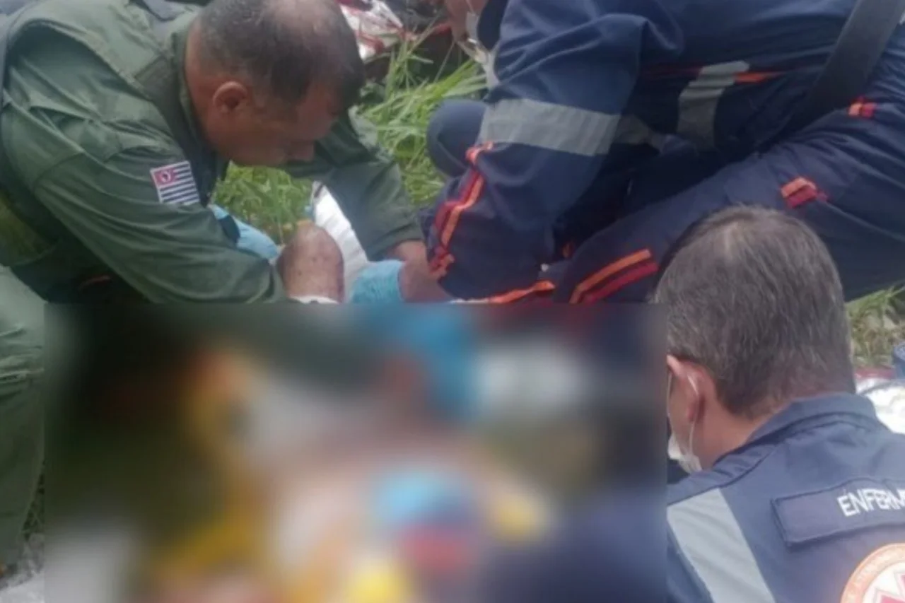 Idosa tem membros amputados após ataque de pitbulls 3 Idosa de 69 anos sofre amputação dos dois braços e de uma perna após ataque de pitbulls em São José dos Campos. Tutor dos animais foi preso em flagrante e vai responder por lesão gravíssima e maus-tratos.