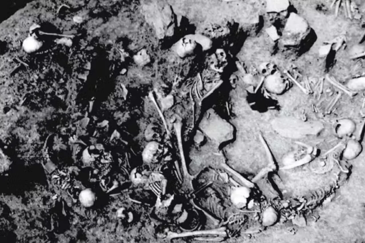 Descoberta revela que vala comum na Sérvia guarda massacre de mulheres e crianças há quase 3 mil anos 40 Descoberta revela que vala comum na Sérvia guarda massacre de mulheres e crianças há quase 3 mil anos