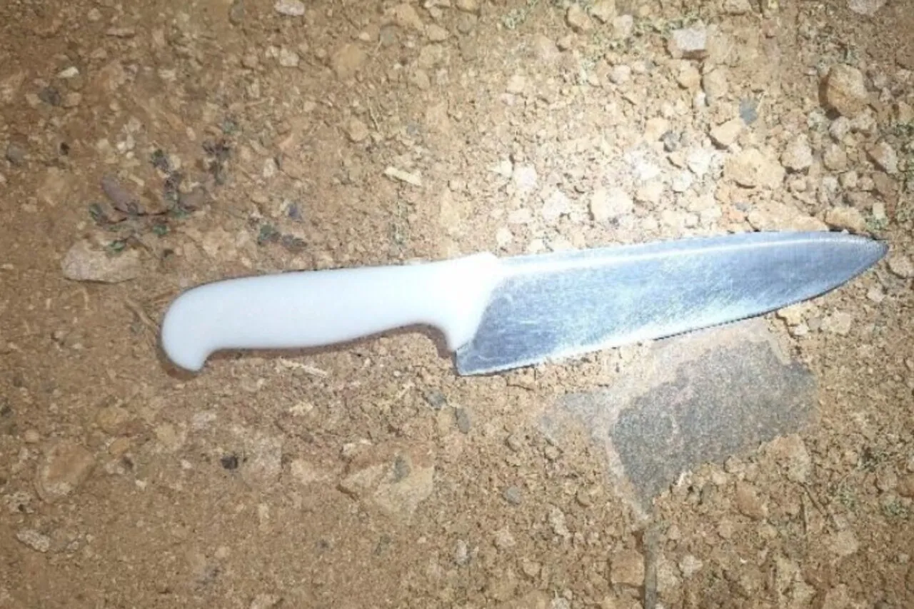 Homem é preso após agredir e ameaçar a companheira, em Dionísio Cerqueira 5 HBNR65