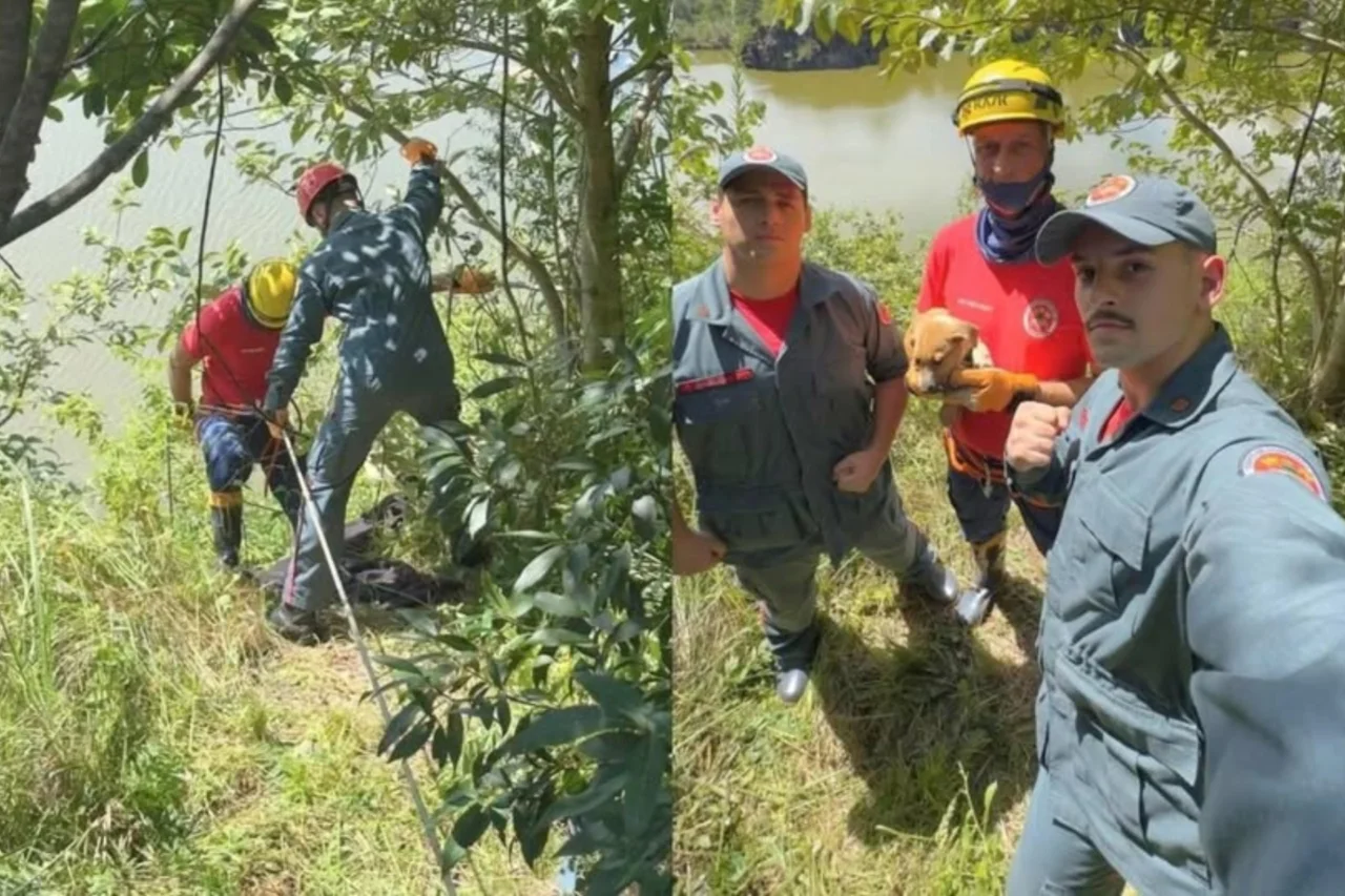 Filhote cai em barranco de 15 metros e é resgatado pelos bombeiros em antiga pedreira no Oeste de SC 10 Heloisa L 12