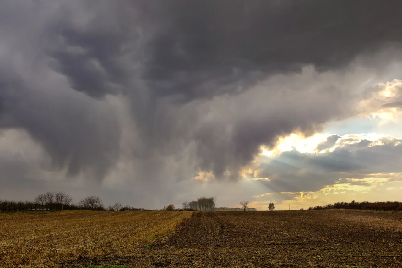 27 sinais da natureza que podem indicar tempestades, enchentes e desastres naturais 25 Heloisa L 19