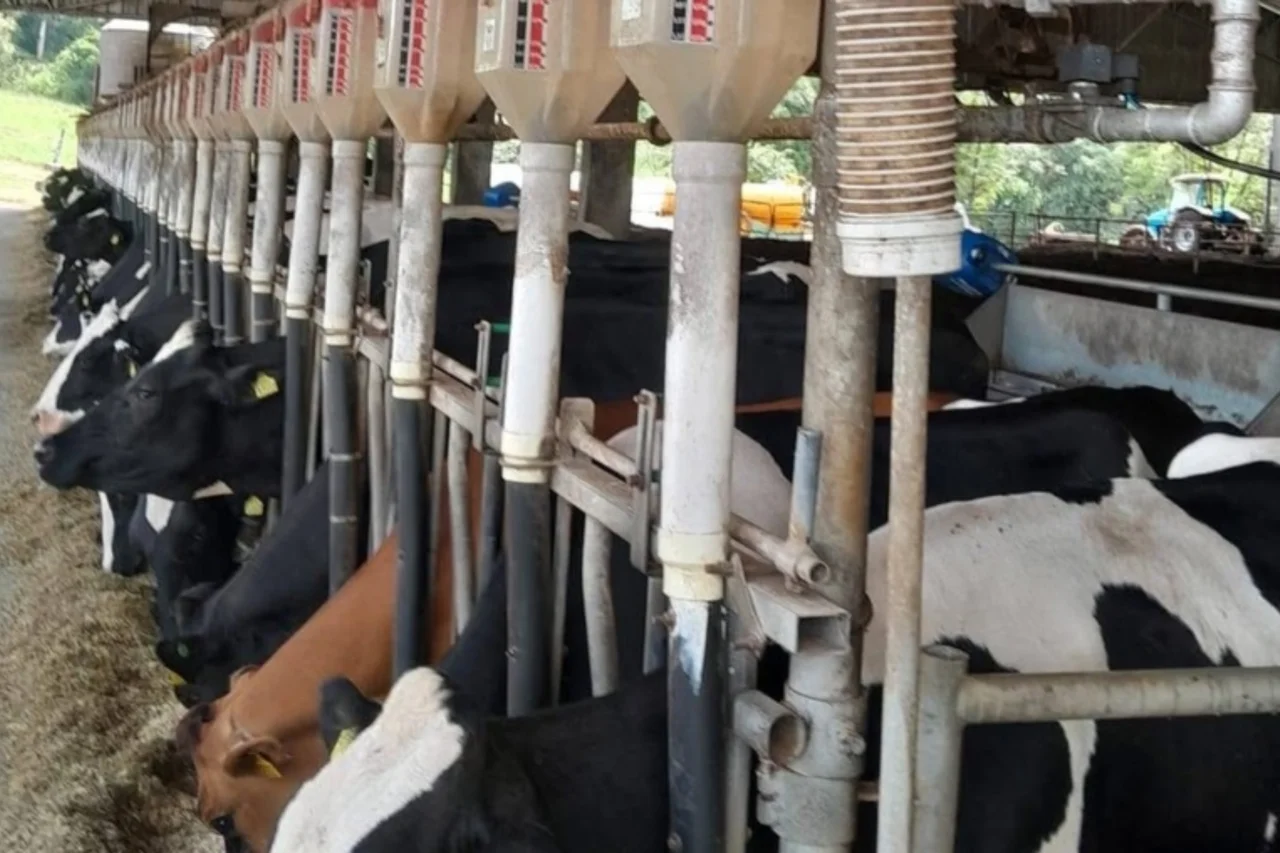 Encontro regional em Tunápolis destaca uso de tecnologia na produção leiteira 3 Encontro regional em Tunápolis destaca uso de tecnologia na produção leiteira