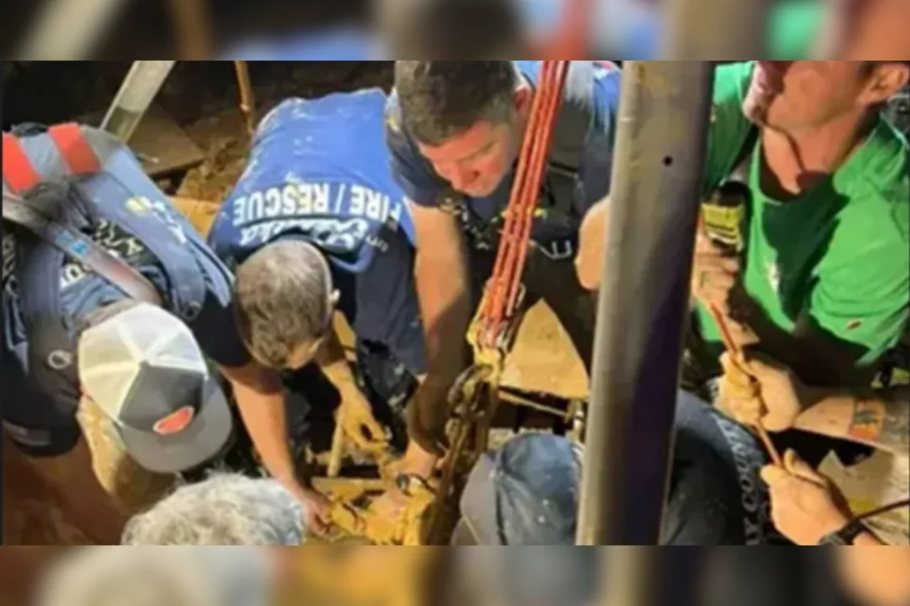 Homem desaparecido desde 14 de fevereiro é encontrado submerso em lama na Flórida após nove dias 30 crys 12