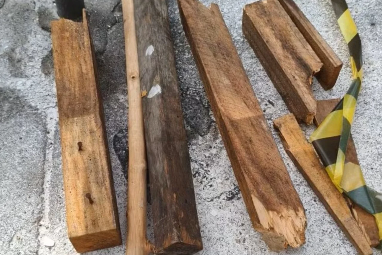 Capivara é brutalmente agredida por grupo no Rio 3 Ataque violento contra capivara no Rio de Janeiro deixa animal em estado grave. Seis homens foram presos e dois adolescentes apreendidos após ação registrada por câmeras.