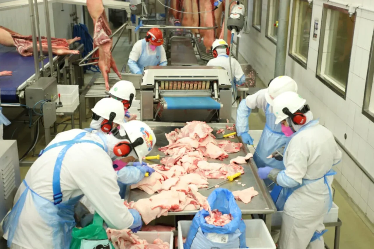 Paraná lidera abate de frangos no Brasil e registra recordes na produção agropecuária em 2025 15 Dados do IBGE apontam que o Paraná fechou 2025 com recordes na produção de frangos, suínos, bovinos, leite, ovos e pescados, consolidando liderança nacional em diversos segmentos.