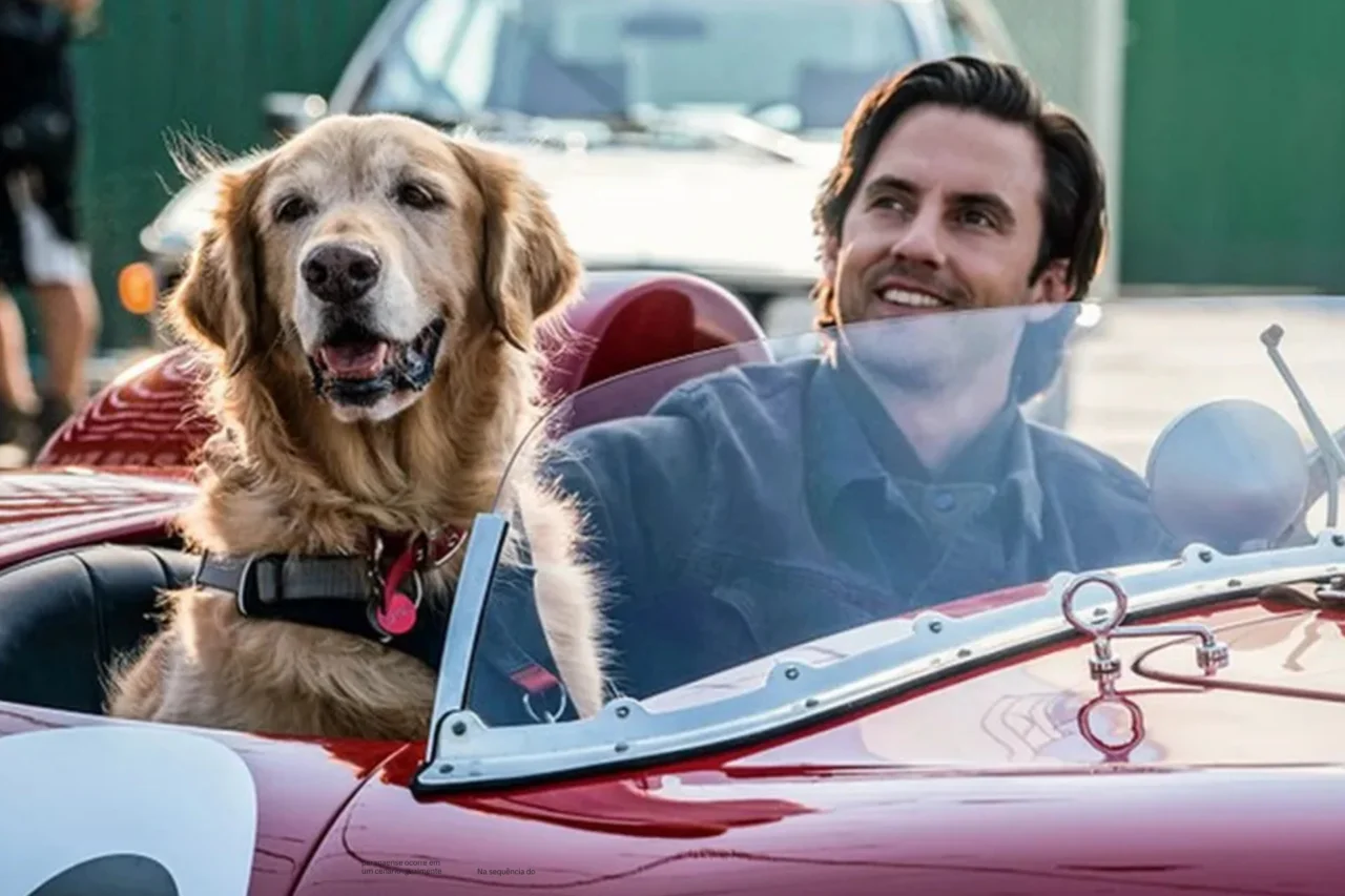 Filmes que vão passar da Sessão da Tarde nesta semana de 02 a 06 de março de 2026 7 Filmes que vão passar da Sessão da Tarde nesta semana de 02 a 06 de março de 2026