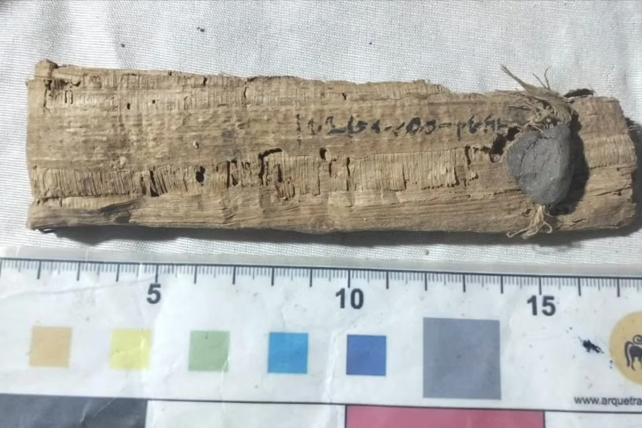 Arqueólogos descobrem 22 caixões com múmias ligadas ao culto do deus Amon em antiga necrópole do Egito 5 Arqueólogos descobrem 22 caixões com múmias ligadas ao culto do deus Amon em antiga necrópole do Egito