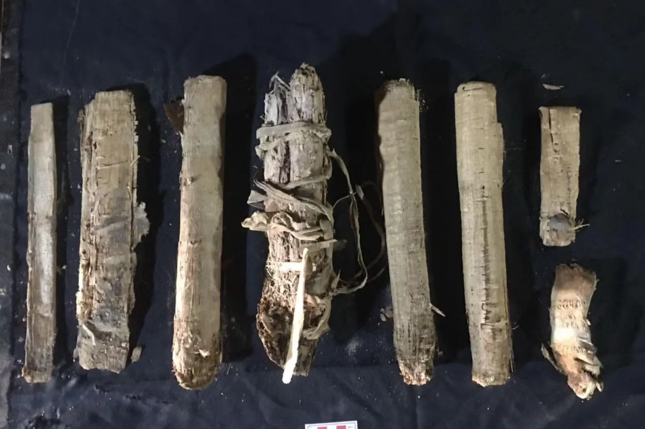 Arqueólogos descobrem 22 caixões com múmias ligadas ao culto do deus Amon em antiga necrópole do Egito 7 Arqueólogos descobrem 22 caixões com múmias ligadas ao culto do deus Amon em antiga necrópole do Egito