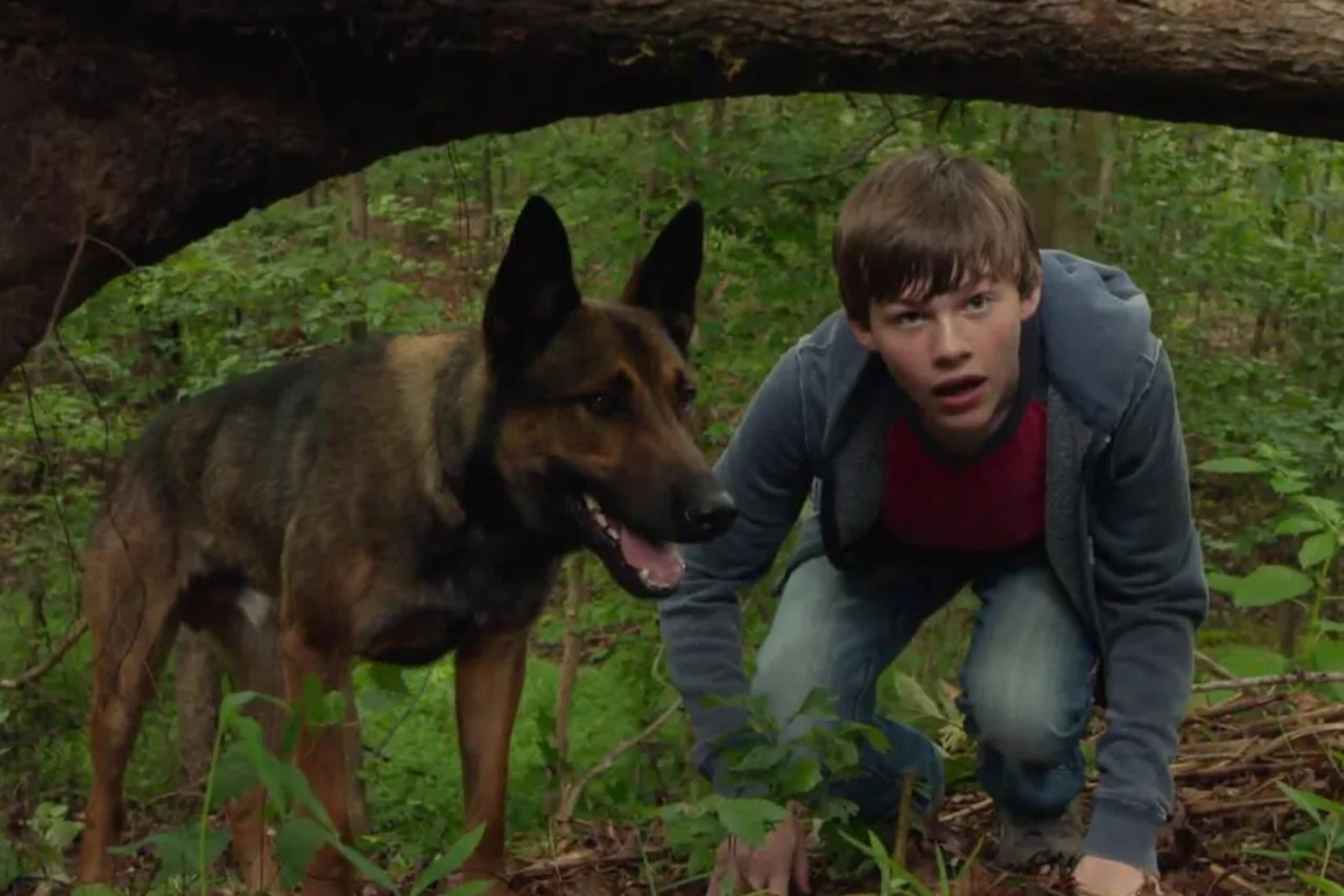 Filme que vai passar na Sessão da Tarde hoje (27/03/2026) 23 Filme que vai passar na Sessão da Tarde hoje (27/03/2026)