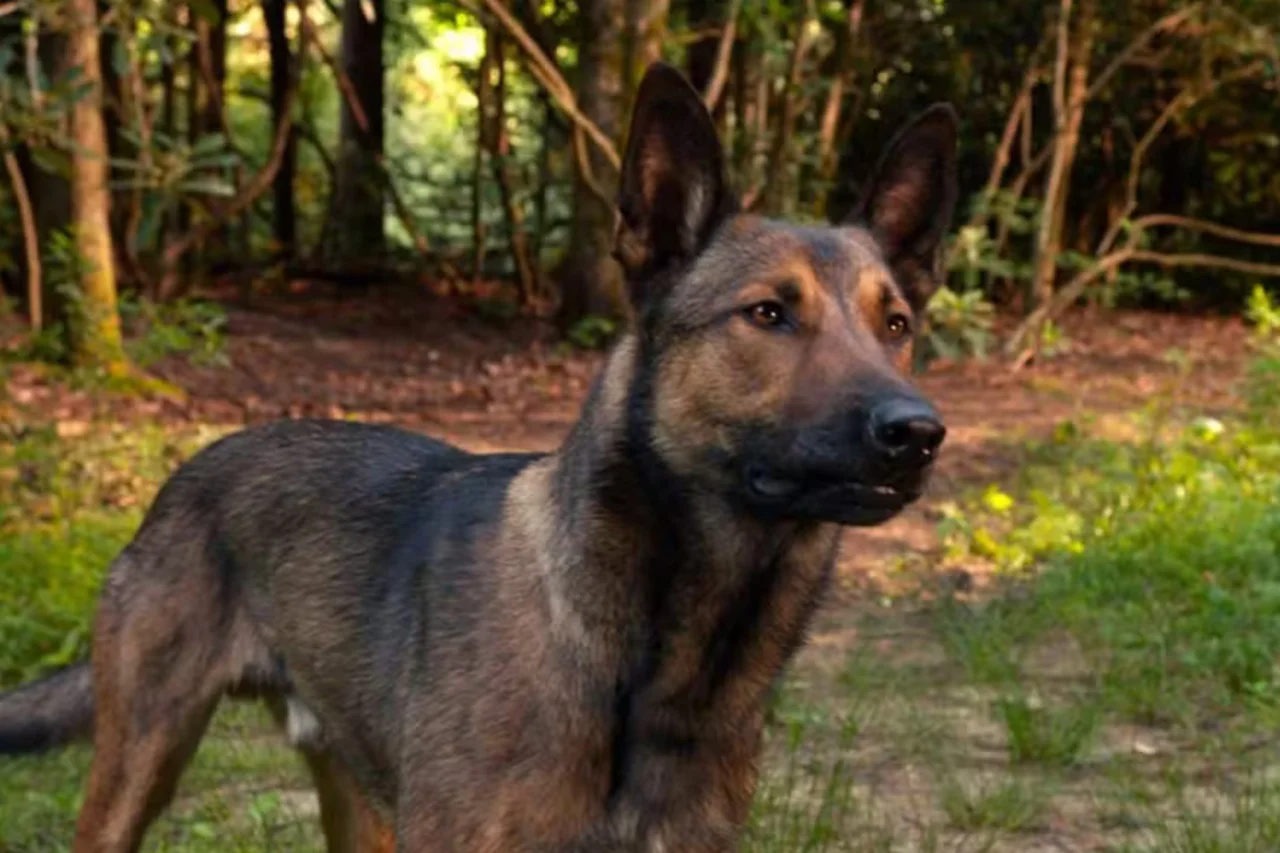 Filme que vai passar na Sessão da Tarde hoje (27/03/2026) 3 Filme que vai passar na Sessão da Tarde hoje (27/03/2026)