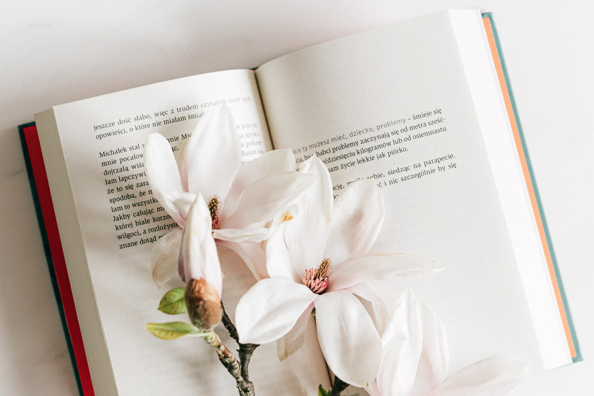 6 livros que toda mulher deveria ler pelo menos uma vez na vida 43 6 livros que toda mulher deveria ler pelo menos uma vez na vida