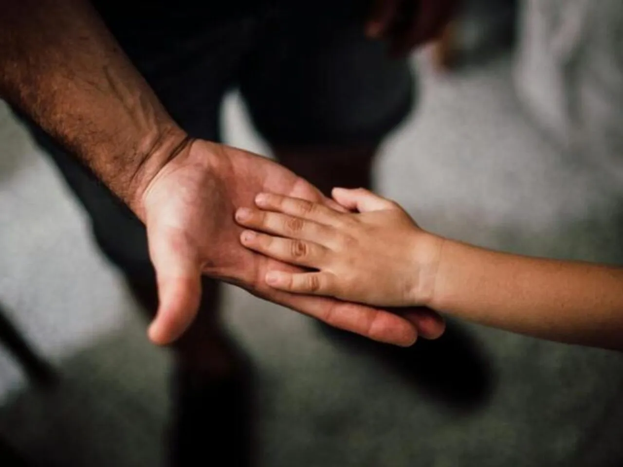 Jovem é condenado pelo estupro do irmão de 3 anos, pornografia infantil e zoofilia 6 rbrt