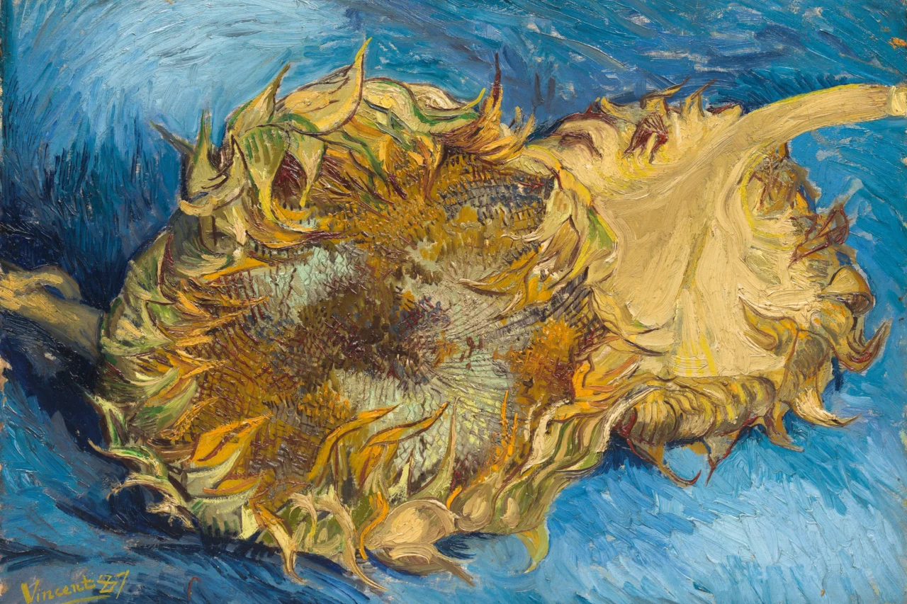 Vincent Van Gogh: a vida intensa e a arte revolucionária do pintor que só foi reconhecido após a morte 7 Heloisa L 15