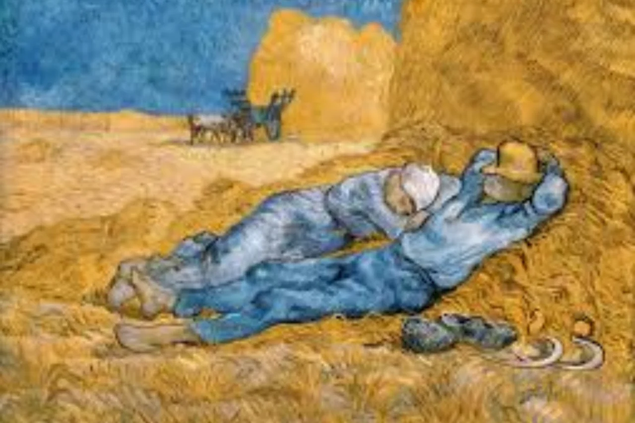 Vincent Van Gogh: a vida intensa e a arte revolucionária do pintor que só foi reconhecido após a morte 6 Heloisa L 18