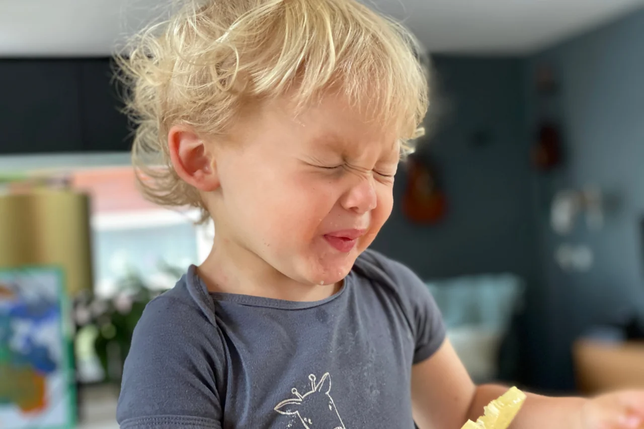 Por que fazemos careta ao comer algo azedo? 23 Heloisa L 40 1