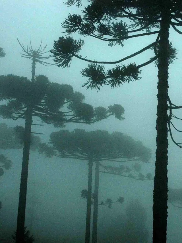 WhatsApp Image 2026-04-27 at 16.28.45