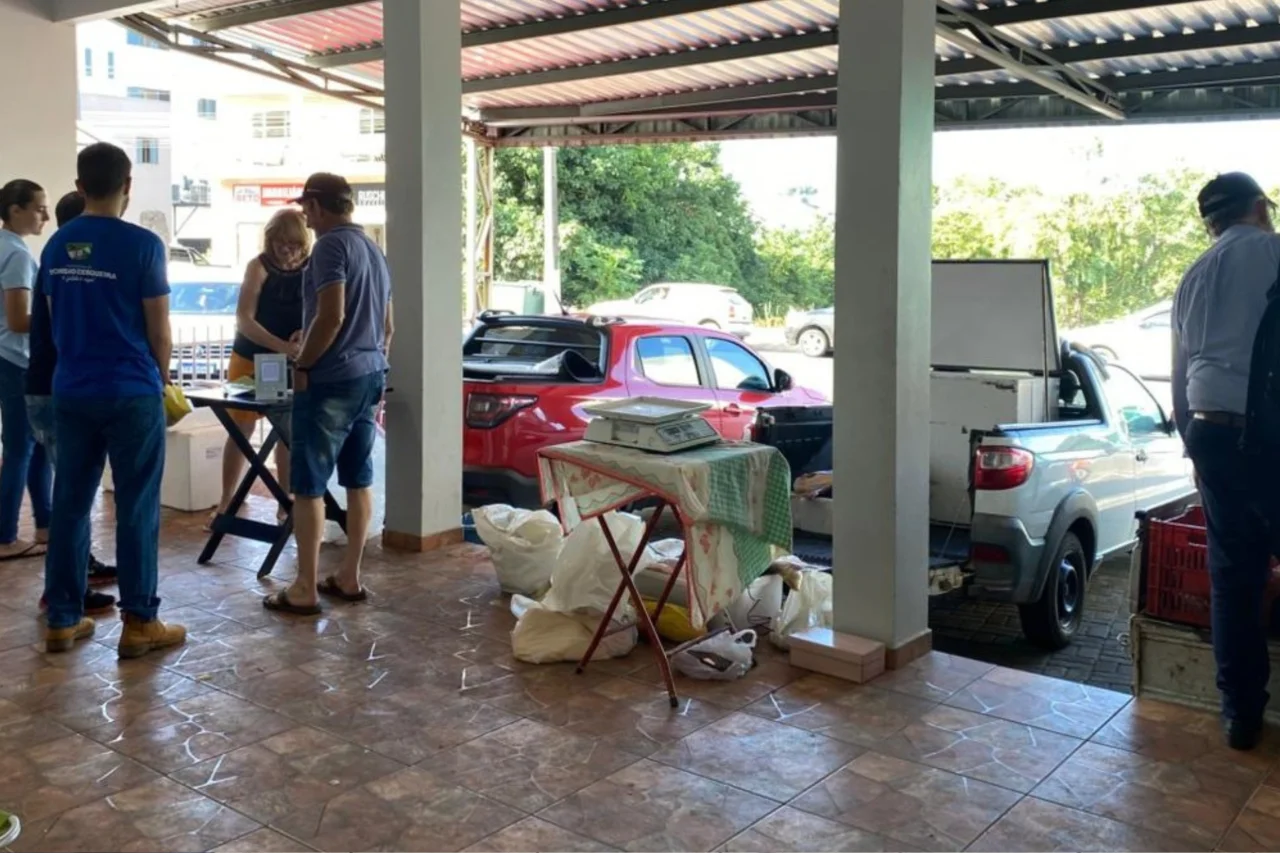 Feira do Peixe de Dionísio Cerqueira comercializou mais de 5 toneladas na Semana Santa 4 crys 44 1