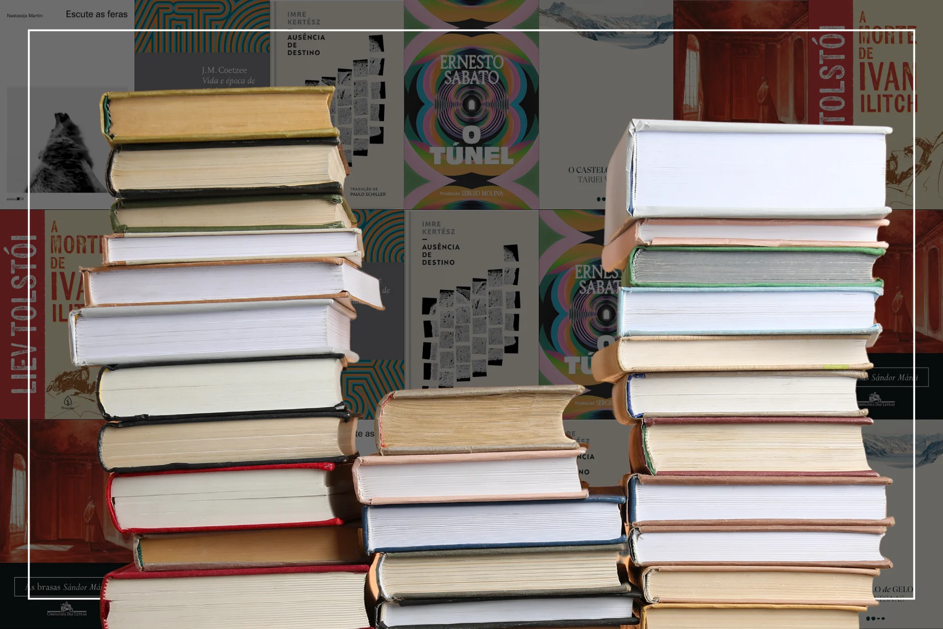 7 livros curtos que perfuram muito além das páginas 42 helo 19