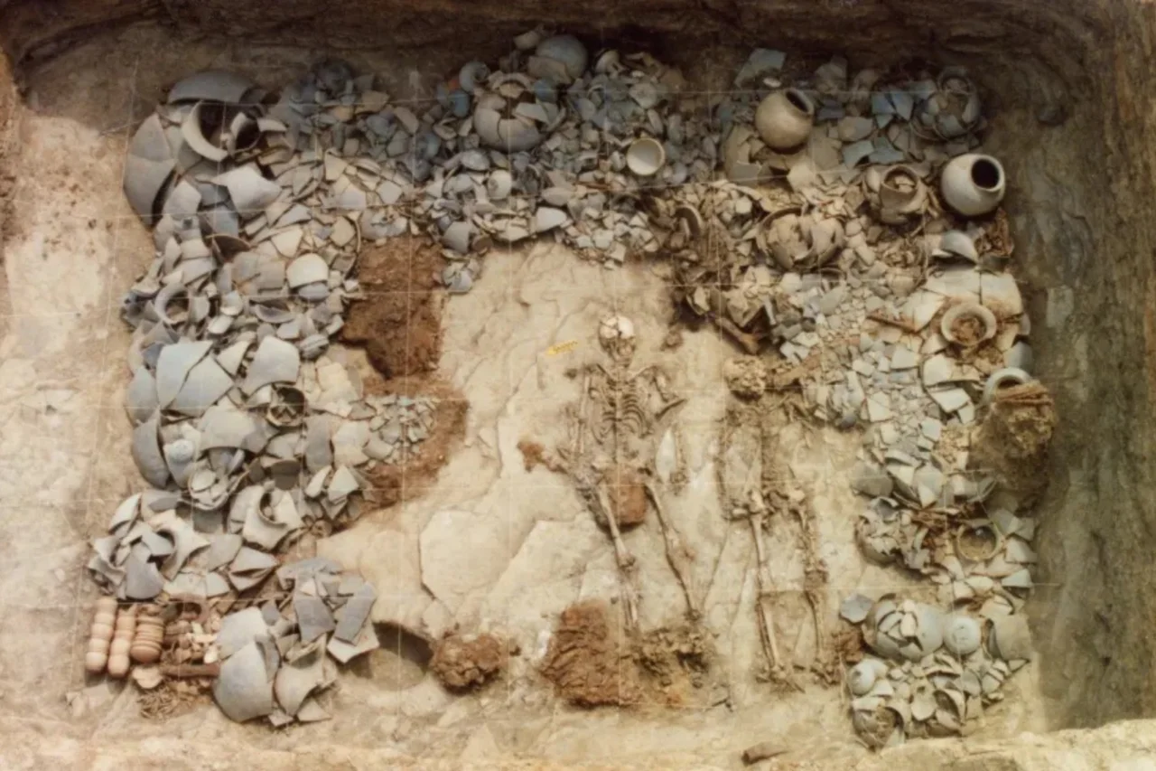 DNA antigo revela laços familiares e rituais de sacrifício em túmulos na Coreia do Sul 38 DNA antigo revela laços familiares e rituais de sacrifício em túmulos na Coreia do Sul