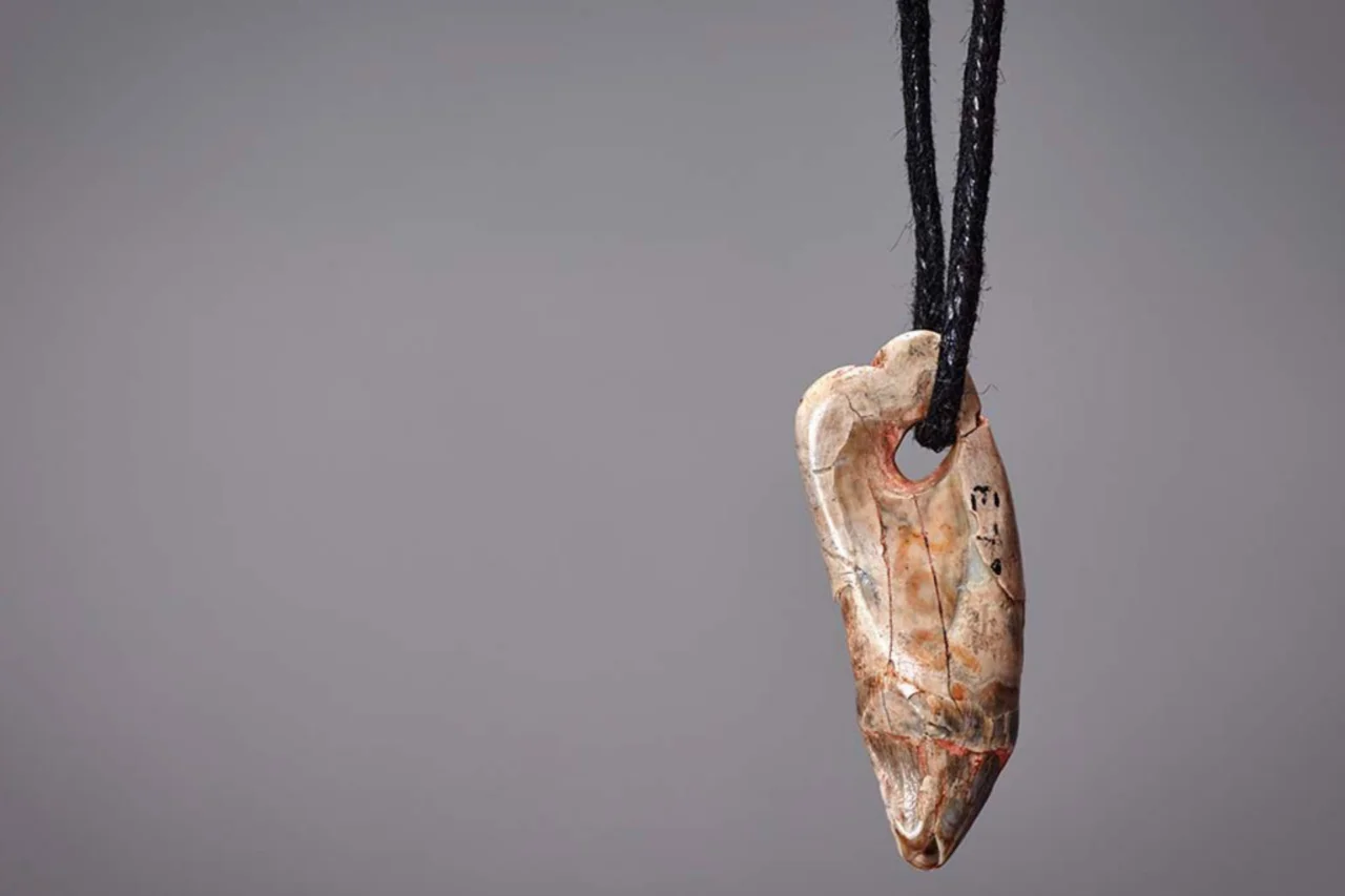 Pingente pré-histórico feito de dente de foca revela hábitos há 15 mil anos 37 Pingente pré-histórico feito de dente de foca revela hábitos há 15 mil anos