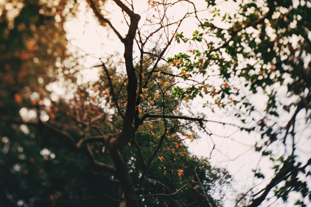 Niilismo: o que é, como surgiu e por que ainda influencia o pensamento moderno 3 Niilismo: o que é, como surgiu e por que ainda influencia o pensamento moderno