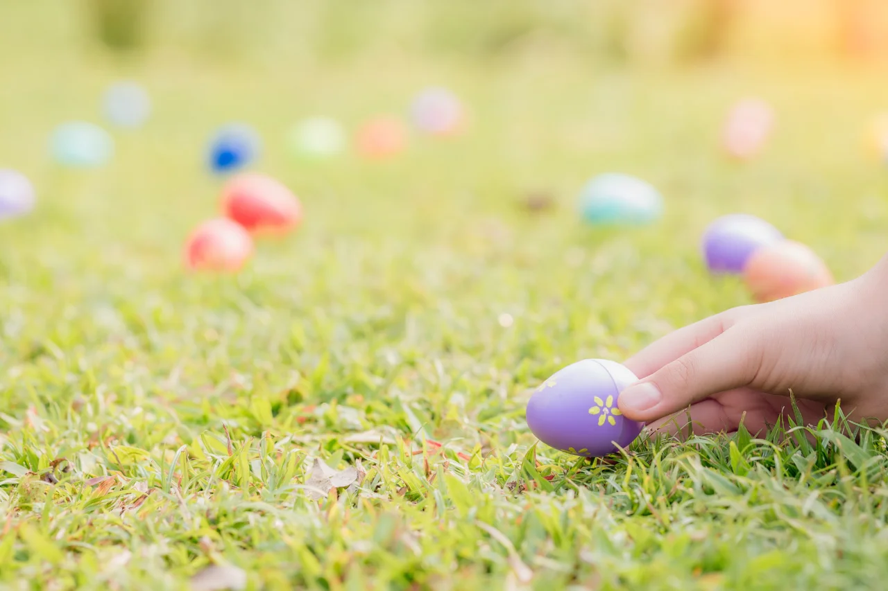 Queda de árvore durante caça de Páscoa deixa 3 mortos na Alemanha 31 Queda de árvore durante caça de Páscoa deixa 3 mortos na Alemanha