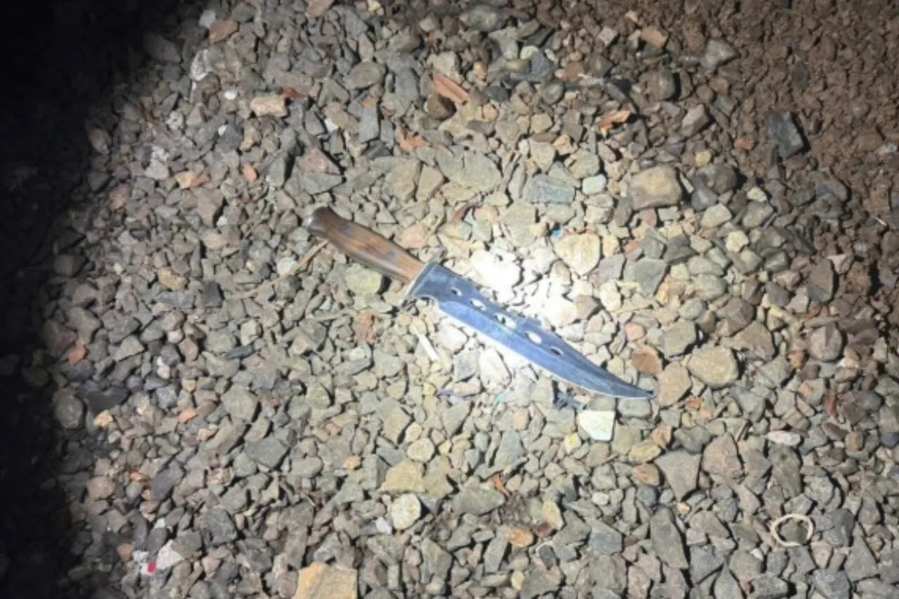 Cinco homens invadem casa e tentam matar irmãos a facadas em São Miguel do Oeste 3 hhb