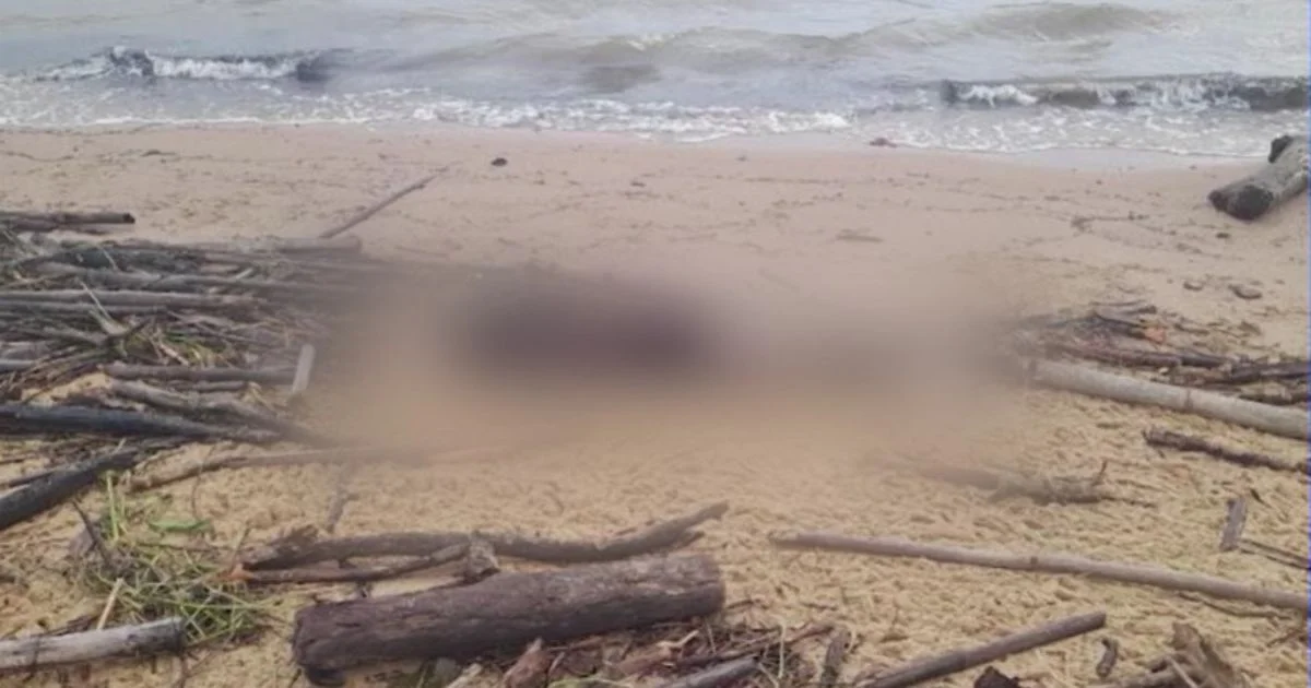 5 pessoas mortas são encontradas em 24h na Grande Florianópolis 3 Duas pessoas já estavam em estágio avançado de decomposição e as outras três foram assassinadas entre quarta e quinta-feira